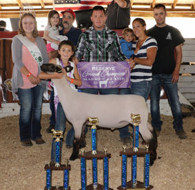 Shearer Show Stock Winner