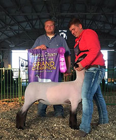 Shearer Show Stock Winner